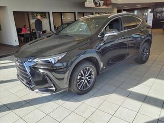 2024 Lexus NX 350h for sale in Toledo OH