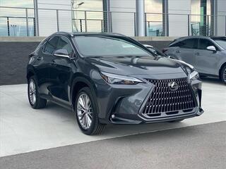 2025 Lexus NX 350h for sale in Chattanooga TN