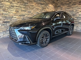 2025 Lexus NX 350h for sale in Allentown PA