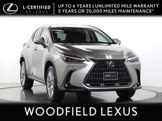 2025 Lexus NX 350h for sale in Schaumburg IL
