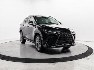 2026 Lexus NX 350h for sale in Schaumburg IL