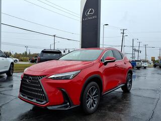 2024 Lexus NX 350h for sale in Toledo OH
