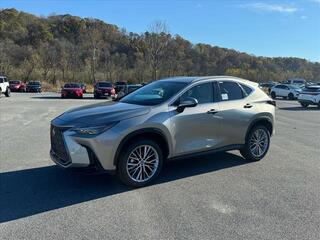 2025 Lexus NX 350h for sale in Kingsport TN