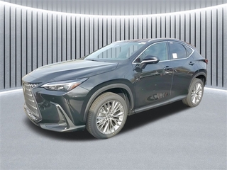 2025 Lexus NX 350h for sale in Schaumburg IL