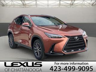 2025 Lexus NX 350h for sale in Chattanooga TN