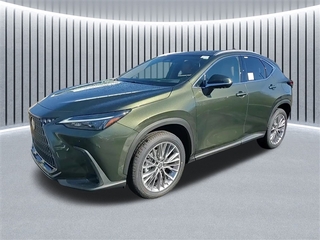 2025 Lexus NX 350h for sale in Schaumburg IL