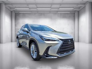 2025 Lexus NX 350h for sale in Nashville TN