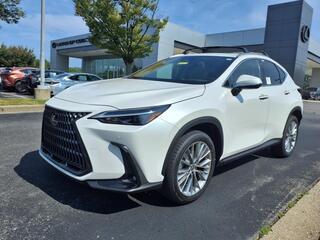 2025 Lexus NX 350h for sale in Brentwood TN
