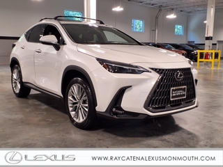 2025 Lexus NX 350h for sale in Oakhurst NJ