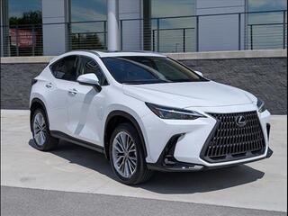 2026 Lexus NX 350h for sale in Chattanooga TN