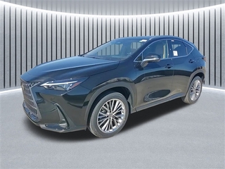 2025 Lexus NX 350h for sale in Schaumburg IL