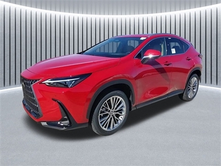 2025 Lexus NX 350h for sale in Schaumburg IL