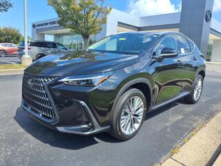 2025 Lexus NX 350h for sale in Brentwood TN