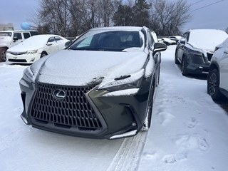 2024 Lexus NX 350h for sale in Allentown PA