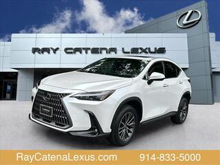 2024 Lexus NX 350h for sale in Larchmont NY