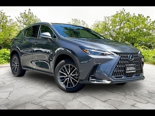 2024 Lexus NX 350h for sale in Freehold NJ