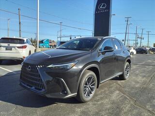 2024 Lexus NX 350h for sale in Toledo OH