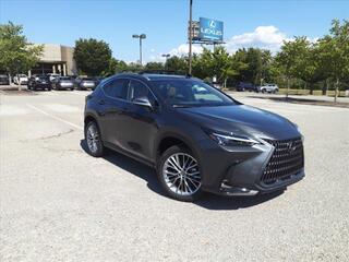 2025 Lexus NX 350h