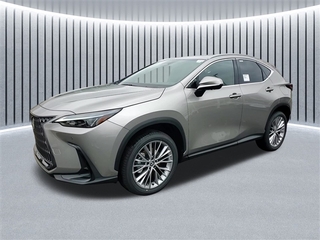 2025 Lexus NX 350h