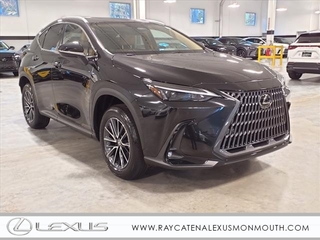 2025 Lexus NX 350h for sale in Oakhurst NJ