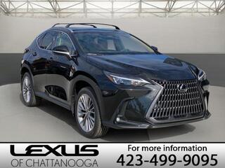 2025 Lexus NX 350h for sale in Chattanooga TN