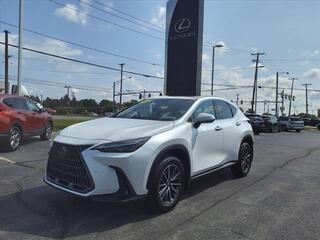 2024 Lexus NX 350h for sale in Toledo OH