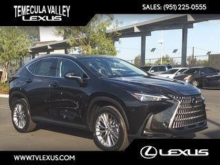 2025 Lexus NX 350h for sale in Temecula CA