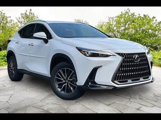 2026 Lexus NX 350h for sale in Freehold NJ
