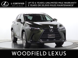 2023 Lexus NX 350h for sale in Schaumburg IL