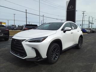 2024 Lexus NX 350h for sale in Toledo OH