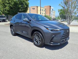2025 Lexus NX 350h for sale in Nashville TN