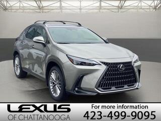 2025 Lexus NX 350h for sale in Chattanooga TN