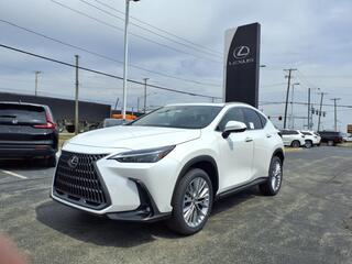 2025 Lexus NX 350h for sale in Toledo OH