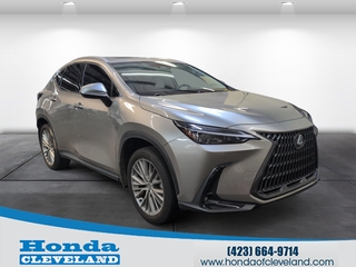 2025 Lexus NX 350h for sale in Cleveland TN