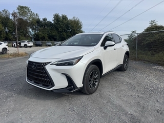 2025 Lexus NX 350h for sale in Allentown PA