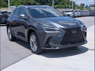 2025 Lexus NX 350h for sale in Chattanooga TN