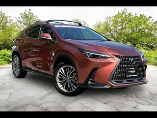 2025 Lexus NX 350h