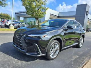 2025 Lexus NX 350h for sale in Brentwood TN