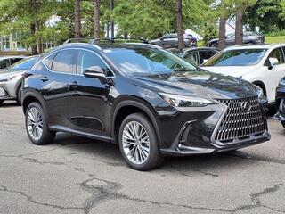 2025 Lexus NX 350h for sale in Durham NC