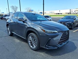 2026 Lexus NX 350h for sale in Taylor MI