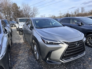 2025 Lexus NX 350h for sale in Allentown PA