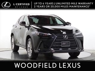 2025 Lexus NX 350h for sale in Schaumburg IL