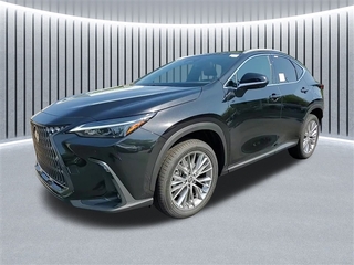 2025 Lexus NX 350h for sale in Schaumburg IL