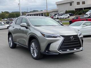 2025 Lexus NX 350h for sale in Chattanooga TN