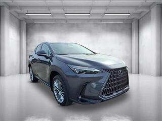 2026 Lexus NX 350h for sale in Nashville TN
