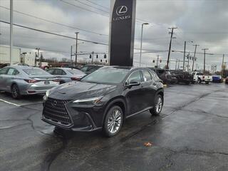 2023 Lexus NX 350 for sale in Toledo OH