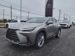 2024 Lexus NX 350 for sale in Toledo OH