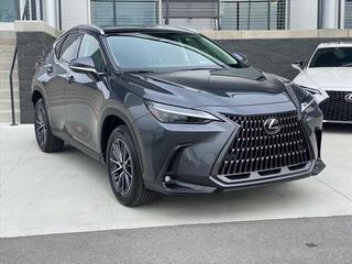 2025 Lexus NX 350 for sale in Chattanooga TN