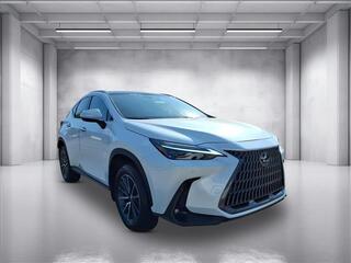 2025 Lexus NX 350 for sale in Nashville TN
