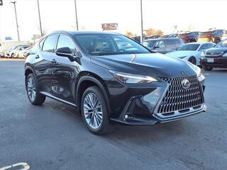 2026 Lexus NX 350 for sale in Raleigh NC